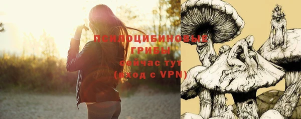apvp Беломорск