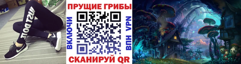 купить   Славянск-на-Кубани  Псилоцибиновые грибы GOLDEN TEACHER 